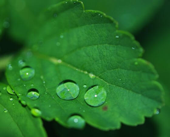 Résines époxy à l’eau